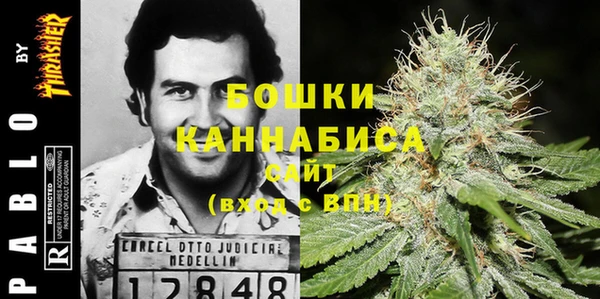 PSILOCYBIN Гусиноозёрск
