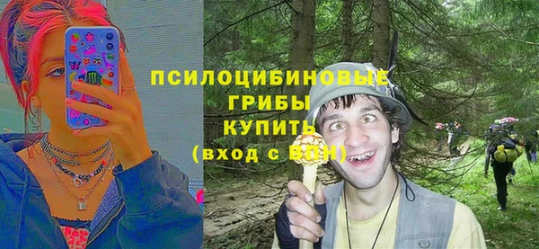 стафф Горно-Алтайск